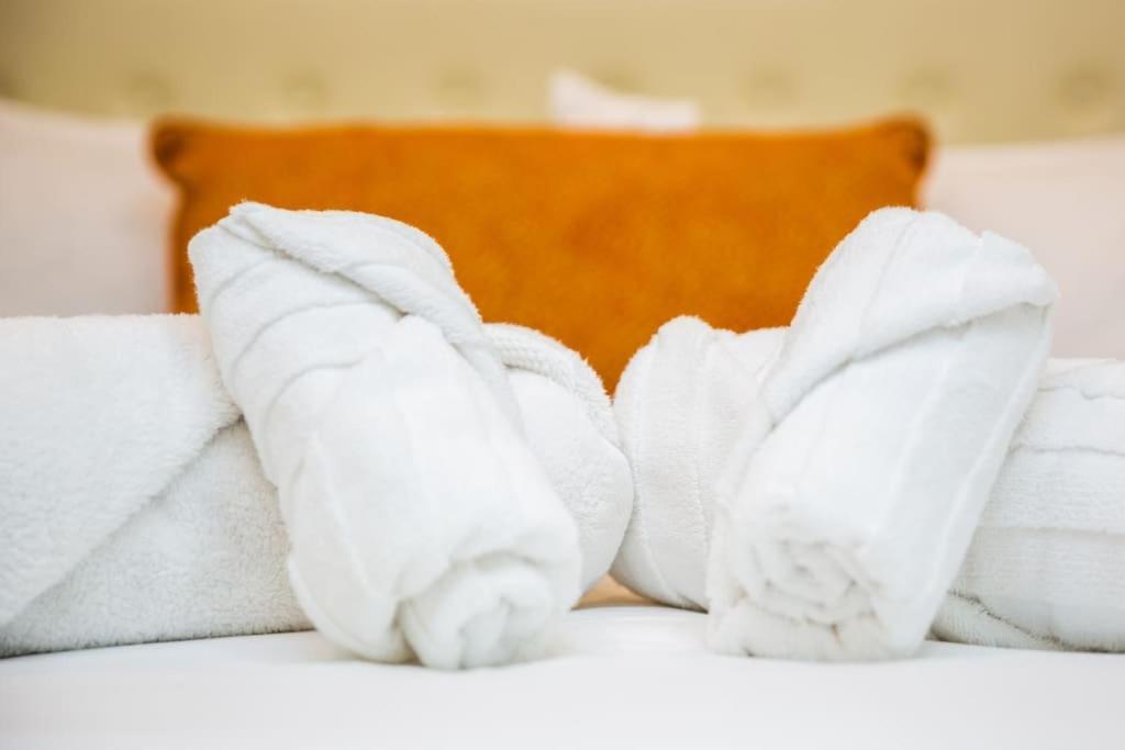 Luxurious One Bedroom Suite With Balboa Park View San Diego Zewnętrze zdjęcie